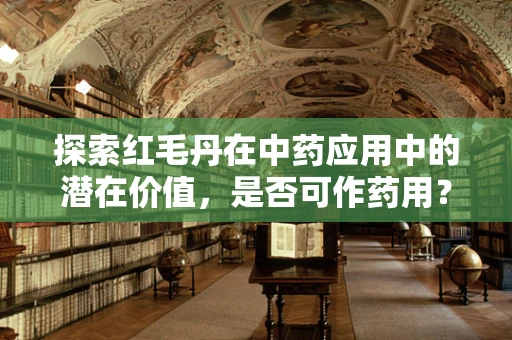 探索红毛丹在中药应用中的潜在价值，是否可作药用？
