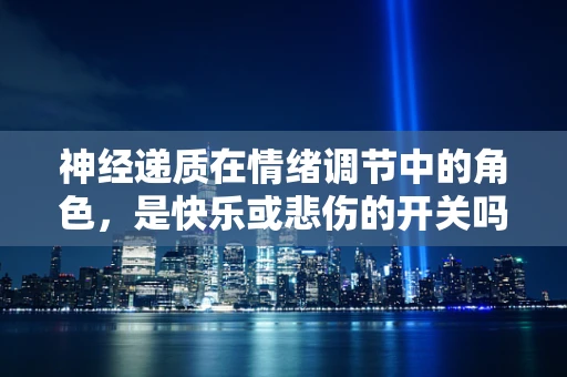 神经递质在情绪调节中的角色，是快乐或悲伤的开关吗？