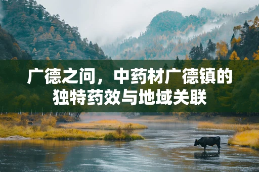 广德之问，中药材广德镇的独特药效与地域关联
