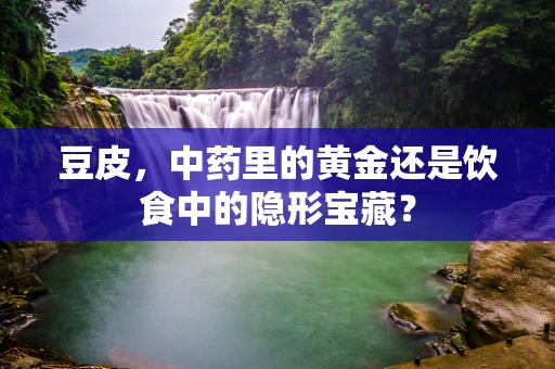 豆皮，中药里的黄金还是饮食中的隐形宝藏？