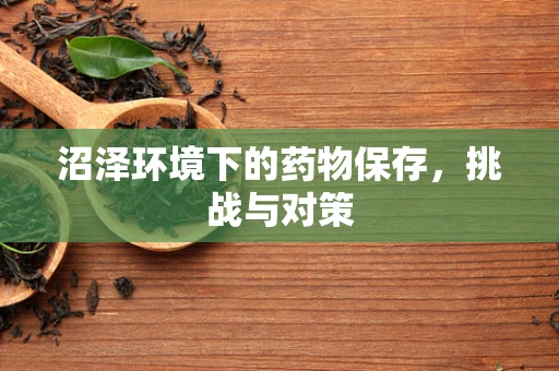 沼泽环境下的药物保存，挑战与对策