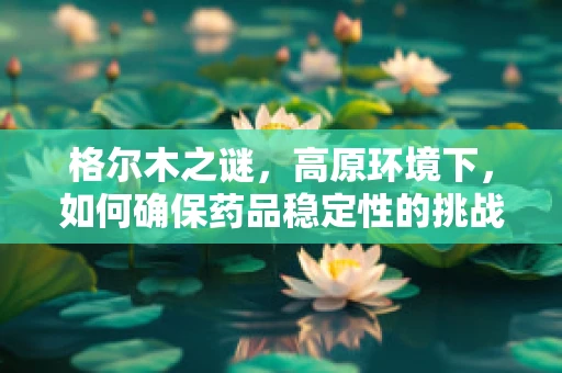格尔木之谜，高原环境下，如何确保药品稳定性的挑战？