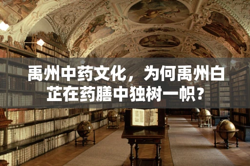 禹州中药文化，为何禹州白芷在药膳中独树一帜？
