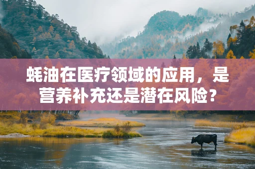 蚝油在医疗领域的应用，是营养补充还是潜在风险？