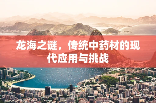 龙海之谜，传统中药材的现代应用与挑战