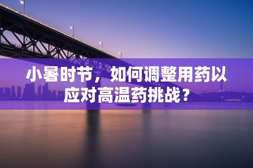小暑时节，如何调整用药以应对高温药挑战？