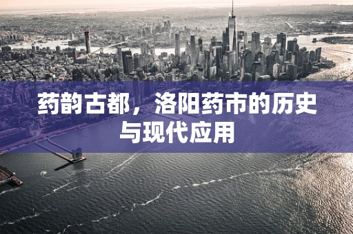 药韵古都，洛阳药市的历史与现代应用