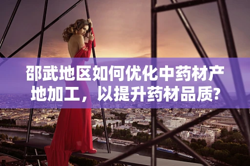 邵武地区如何优化中药材产地加工，以提升药材品质?
