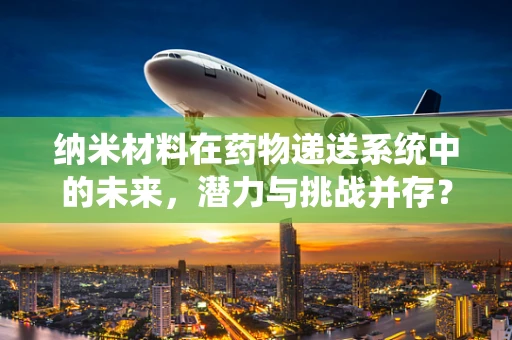 纳米材料在药物递送系统中的未来，潜力与挑战并存？