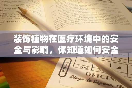 装饰植物在医疗环境中的安全与影响，你知道如何安全地摆放吗？