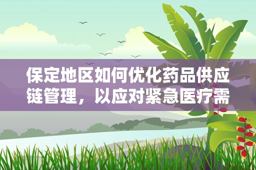 保定地区如何优化药品供应链管理，以应对紧急医疗需求？