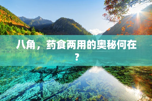八角，药食两用的奥秘何在？
