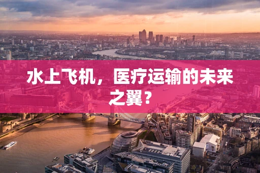水上飞机，医疗运输的未来之翼？