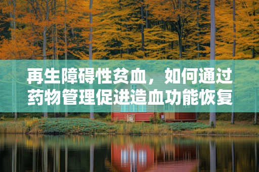 再生障碍性贫血，如何通过药物管理促进造血功能恢复？