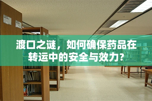 渡口之谜，如何确保药品在转运中的安全与效力？