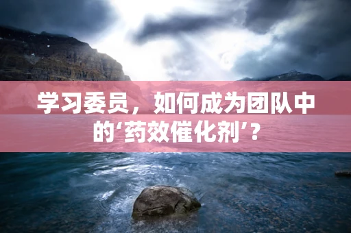 学习委员，如何成为团队中的‘药效催化剂’？