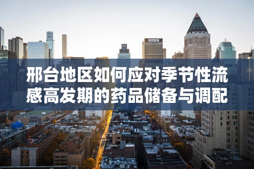 邢台地区如何应对季节性流感高发期的药品储备与调配？