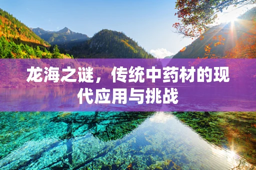 龙海之谜，传统中药材的现代应用与挑战