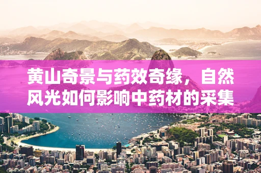 黄山奇景与药效奇缘，自然风光如何影响中药材的采集？