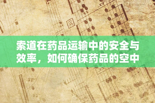 索道在药品运输中的安全与效率，如何确保药品的空中快线万无一失？