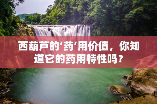 西葫芦的‘药’用价值，你知道它的药用特性吗？