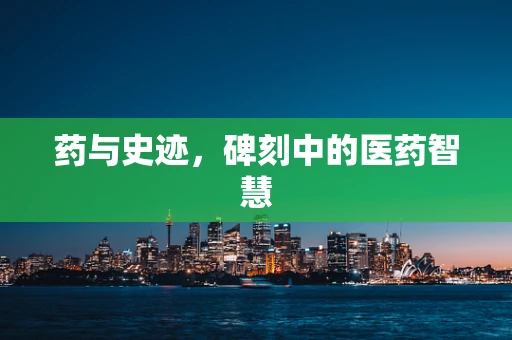 药与史迹，碑刻中的医药智慧