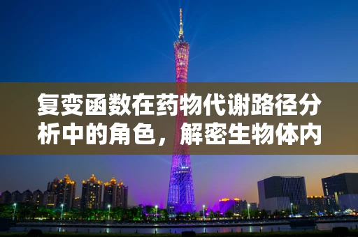 复变函数在药物代谢路径分析中的角色，解密生物体内的数学迷宫