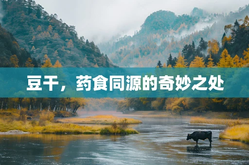 豆干，药食同源的奇妙之处