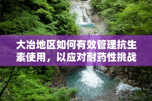 大冶地区如何有效管理抗生素使用，以应对耐药性挑战？