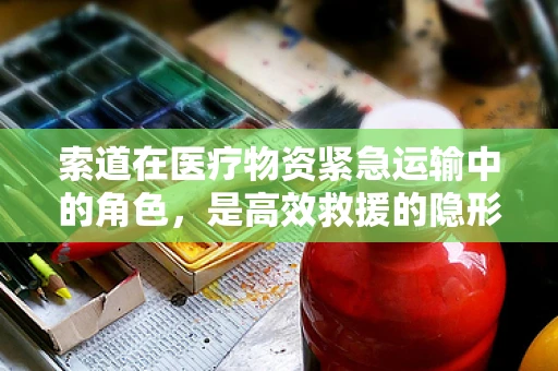 索道在医疗物资紧急运输中的角色，是高效救援的隐形桥梁吗？