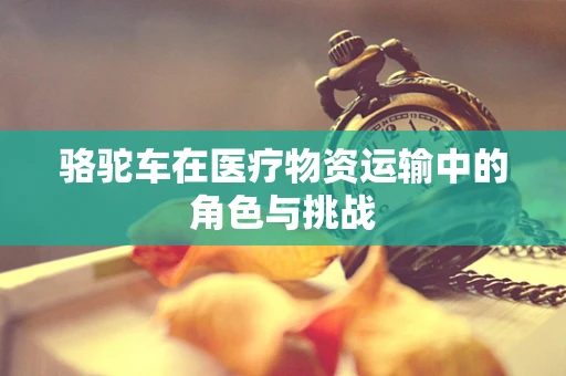 骆驼车在医疗物资运输中的角色与挑战