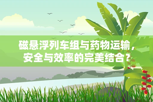 磁悬浮列车组与药物运输，安全与效率的完美结合？