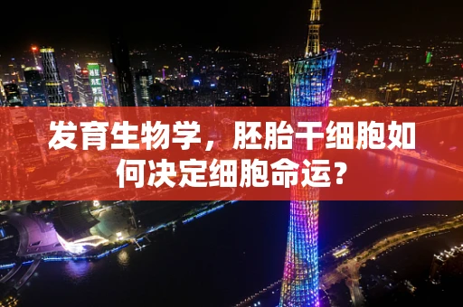 发育生物学，胚胎干细胞如何决定细胞命运？