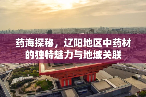 药海探秘，辽阳地区中药材的独特魅力与地域关联