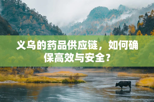 义乌的药品供应链，如何确保高效与安全？