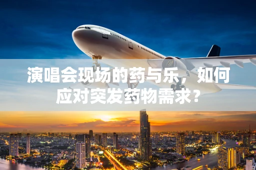 演唱会现场的药与乐，如何应对突发药物需求？