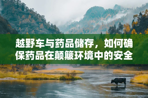 越野车与药品储存，如何确保药品在颠簸环境中的安全？