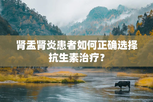 肾盂肾炎患者如何正确选择抗生素治疗？