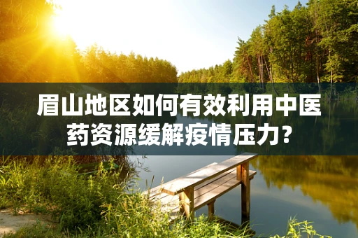 眉山地区如何有效利用中医药资源缓解疫情压力？
