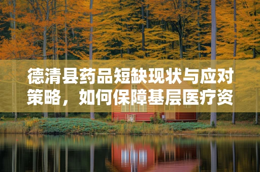 德清县药品短缺现状与应对策略，如何保障基层医疗资源均衡？