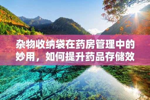 杂物收纳袋在药房管理中的妙用，如何提升药品存储效率？