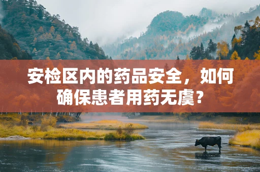 安检区内的药品安全，如何确保患者用药无虞？
