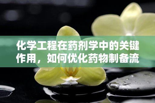 化学工程在药剂学中的关键作用，如何优化药物制备流程？