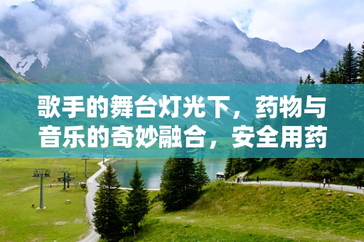 歌手的舞台灯光下，药物与音乐的奇妙融合，安全用药的隐秘考量