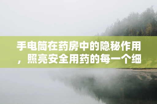 手电筒在药房中的隐秘作用，照亮安全用药的每一个细节