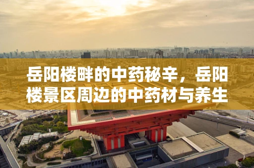 岳阳楼畔的中药秘辛，岳阳楼景区周边的中药材与养生之道
