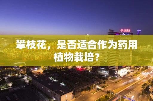 攀枝花，是否适合作为药用植物栽培？