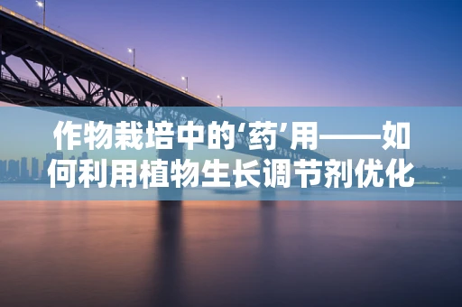 作物栽培中的‘药’用——如何利用植物生长调节剂优化农业实践？