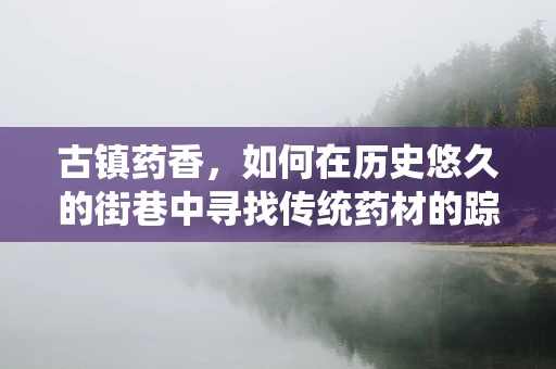 古镇药香，如何在历史悠久的街巷中寻找传统药材的踪迹？