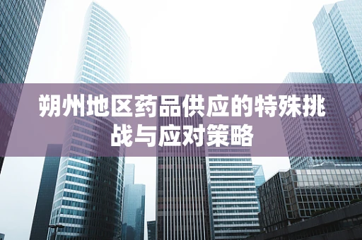 朔州地区药品供应的特殊挑战与应对策略